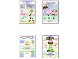 Плакаты ПРОФТЕХ "Классификация овощей и переработка" (8 пл, винил, 70х100)