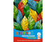 Картон цветной мелованная Апплика А4 в ассортименте 7 цветов (7 листов) 1163299