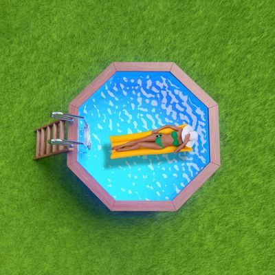 Каркасный деревянный бассейн Кристалл вид сверху