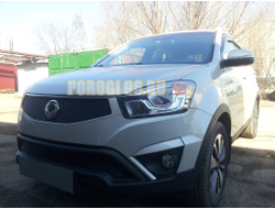 Защита радиатора Ssang Yong Actyon 2013- black верх
