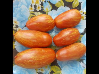 Томат Безумие Кассади (Casady's Folly)