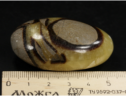 Септария, кальцит, полировка плоская, Мадагаскар (53*32*20 мм, 57 г) №37848