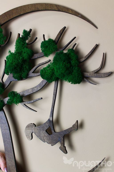 ЖИВАЯ ЭКО-КАРТИНА 1013