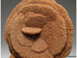 Барит - "роза".  Norma. Oklahoma. USA. 50*31*25мм