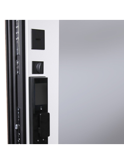 Стальная дверь   Plata с зеркалом (биометрический замок Smart lock DZ 888)