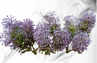 Набор искусственного цветного ягеля, в упаковке 30 штук