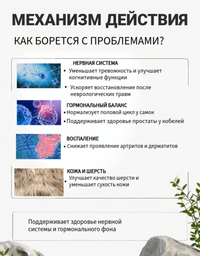 Кормовая добавка для собак с лососевым жиром и тыквенным маслом DOBROPET-32, 60 капсул