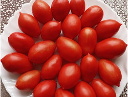 Томат Пир на весь мир