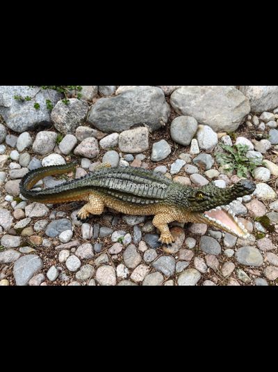 Крокодил 15*40см   1,2кг   полистоун Россия 1844/012457*