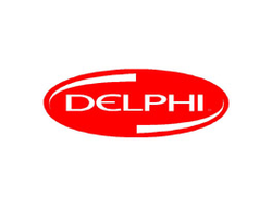 DELPHI 7209-0020 Набор шайб (комплект 10 шт)
