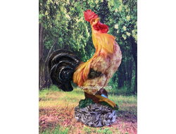 Петух красавчик 53*42см  2,7кг  полистоун Россия 2394/012302