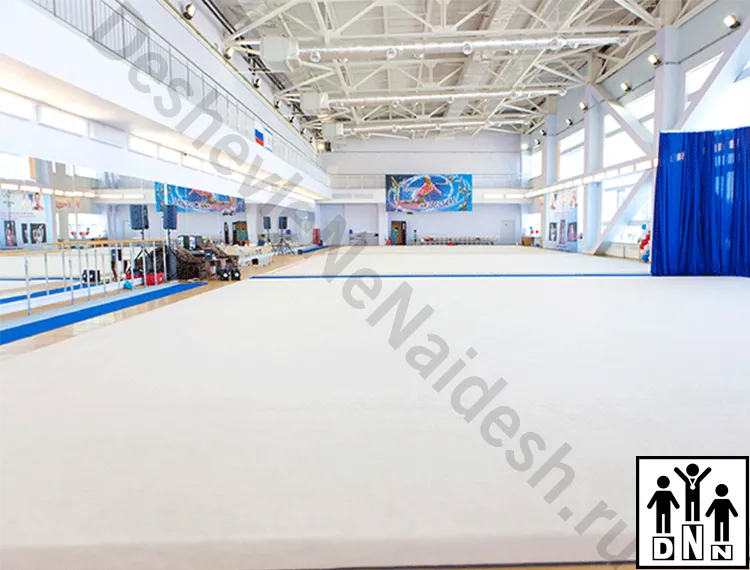 Гимнастический ковер для спортивной гимнастики