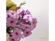 Букет "Phlox".