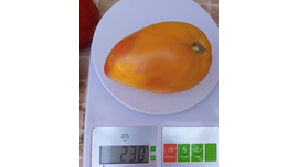 Похвала Марины