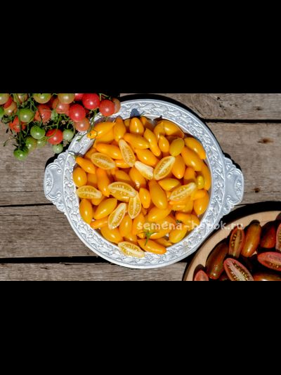 Томат Borghese Vase Roman (Римская Ваза Боргезе), 10 шт