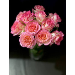 Роза Россия 50 см. 11 шт