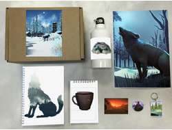 Бокс The Long Dark, Лонг Дарк №4