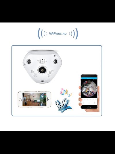 BESDER_SS. Потолочная - настенная WiFi/LAN видеокамера панорамная с DVR, 960P HD (IP Pro (VR cam. EseeCloud))
