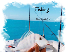 FISHING IN HURGHADA