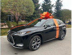 Бант lite 100см