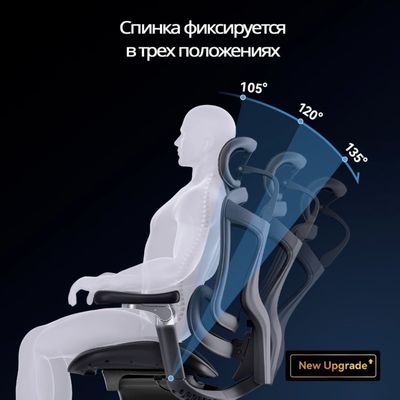 Ортопедическое кресло SIHOO Doro C300 Pro | чёрное