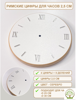 Римские цифры 2,5 см с делениями/серебро