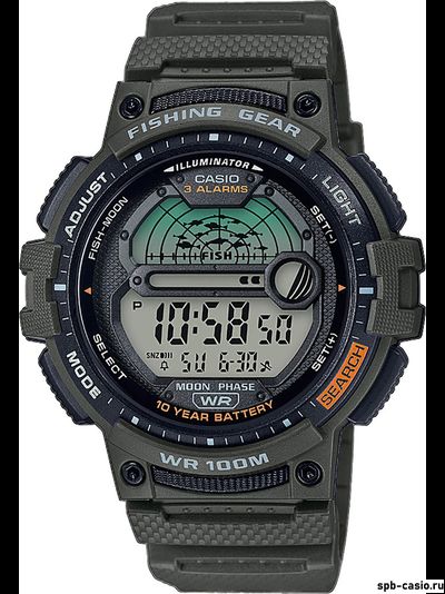 Часы Casio WS-1200H-3AVEF