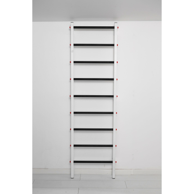 Шведская стенка Ferrum Force F купить в Воронеже