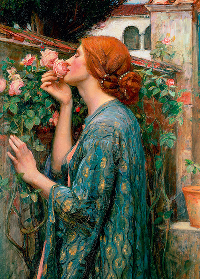 D0567 Душа розы