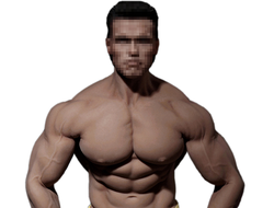 Супер-подвижное бесшовное мужское тело (телоид) PL2016-M34 1/6 Super flexible Male Seamless Body - PHICEN