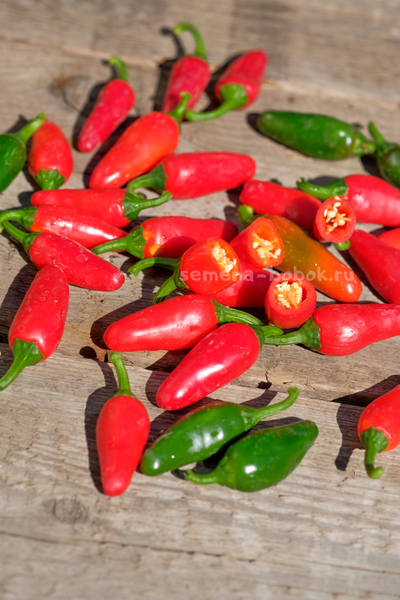 Перец острый Jalapeno Mini (Халапеньо Мини), 10 шт