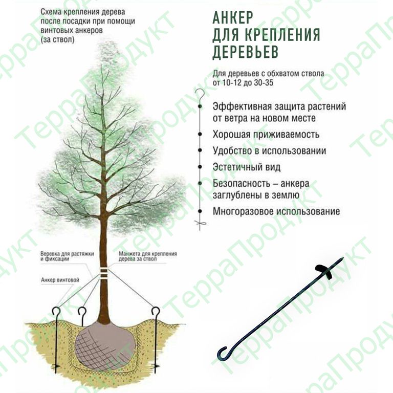 Анкер для растяжки деревьев 60см. (копия) (модификация 1)