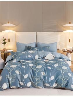 Постельное белье TANGO Twill сатин двуспальное 180x210x1 220x245x1 50x70x2 TPIG2-1928-50