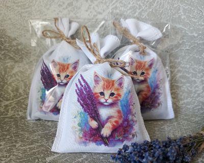 Саше "Лаванда " котик 3