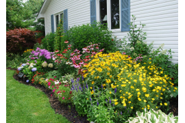 ГОТОВЫЕ РЕШЕНИЯ ПОД ВАШ ЗАПРОС (в стоимость входят растения!)