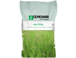 Купить Семена костра 10 кг в интернет-магазине Семенная Станция