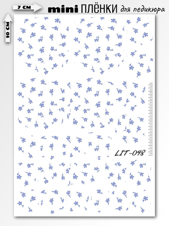 Мини пленки для педикюра LIT-098