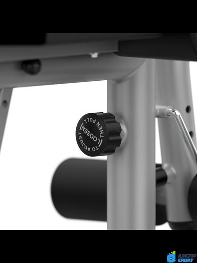 Скамья под штангу DFC D748