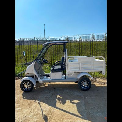 Гольфкар GreenCamel A2C 52Ah (2+Cargo 2500W 225/40-10' литые)