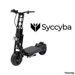 Syccyba