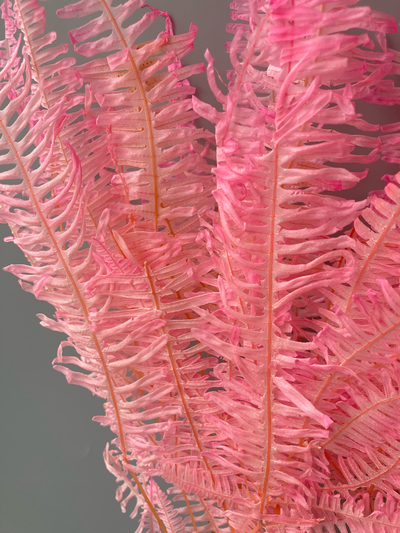 Папоротник #2 розовый