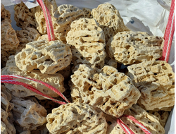 Меотис песчаник ракушечник