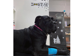 Лабораторная диагностика