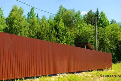 Забор из профлиста ( Стандарт )