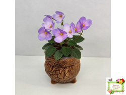 Frosted Fantasy спорт трейлер