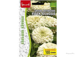 Цинния Кураж Кремовая карликовая большая грядка 100шт (Ред.сем)