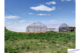 Плёночные теплицы для декоративных растений