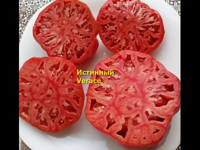 Томат Истинный (Verace, Италия)