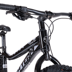 Велосипед TechTeam Garet 24