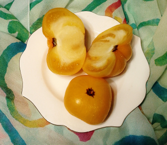 Семена томата Золотой цыган Гном